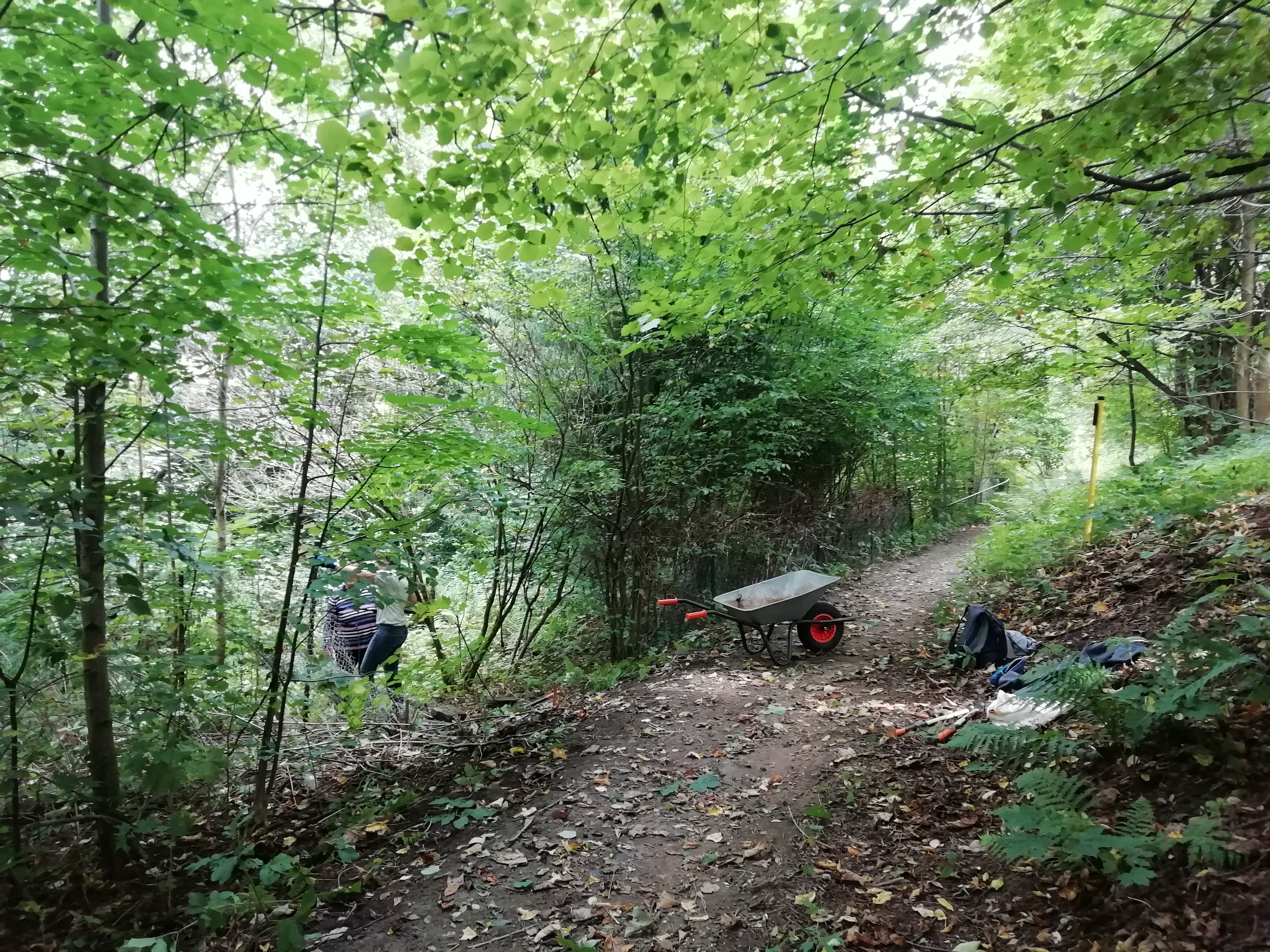 KI generiert: Das Bild zeigt einen Waldweg, auf dem eine Schubkarre und verschiedene Werkzeuge liegen. Im Hintergrund ist eine Person zu sehen, die im Gebüsch arbeitet.